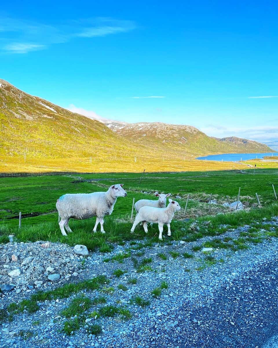 Tromsø, Skagøysundet Tromsø, Skagøysundet
