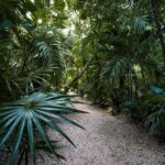 Yucatan jungle, Chichen Itza