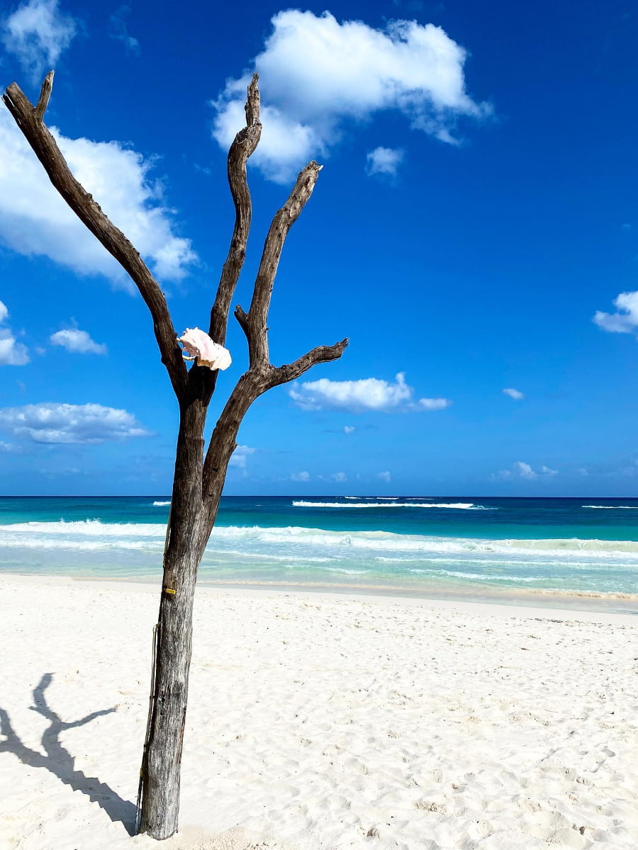 Coco Tulum Coco Tulum