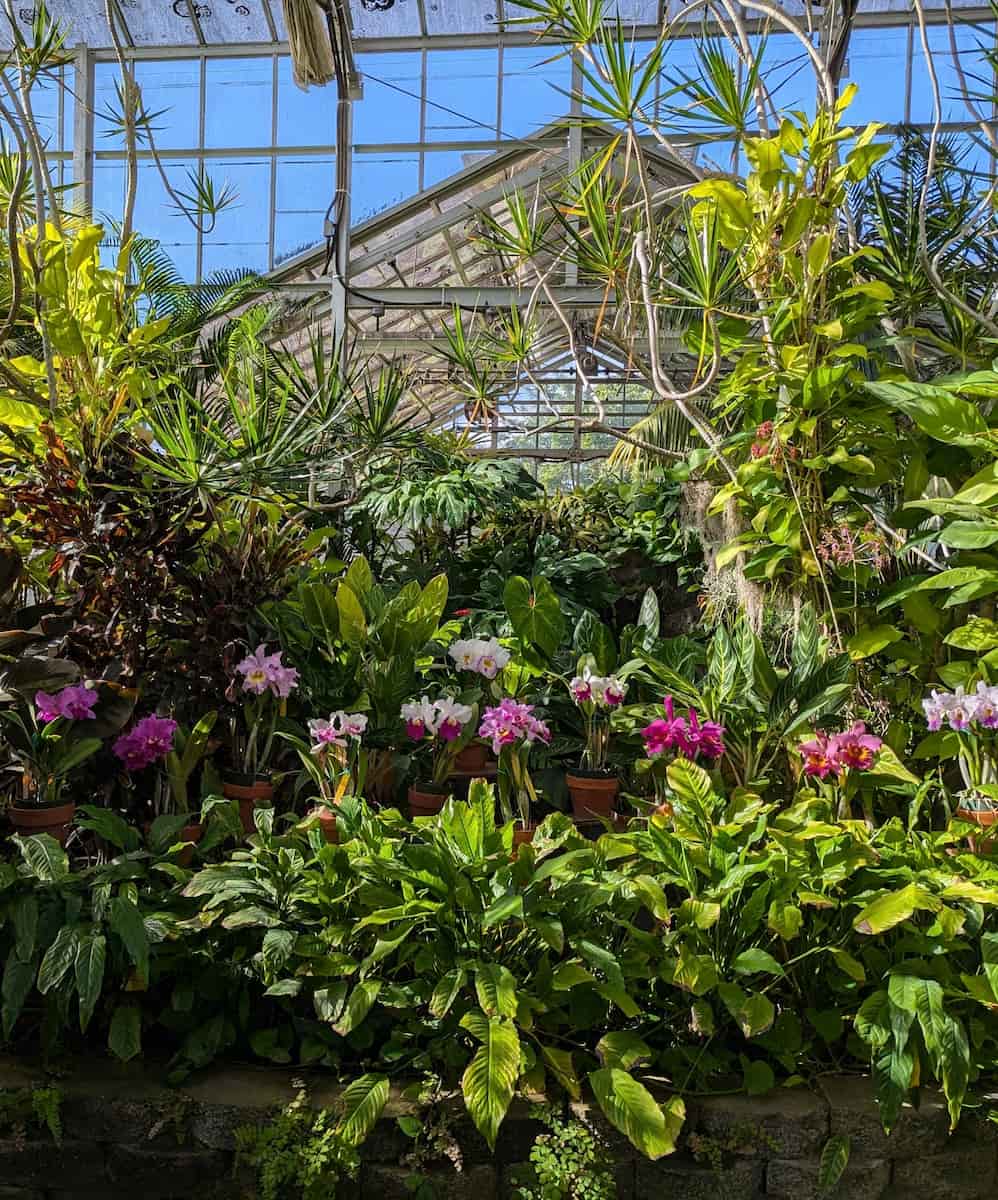 Foster Botanical Garden, Honolulu Foster Botanical Garden, Honolulu