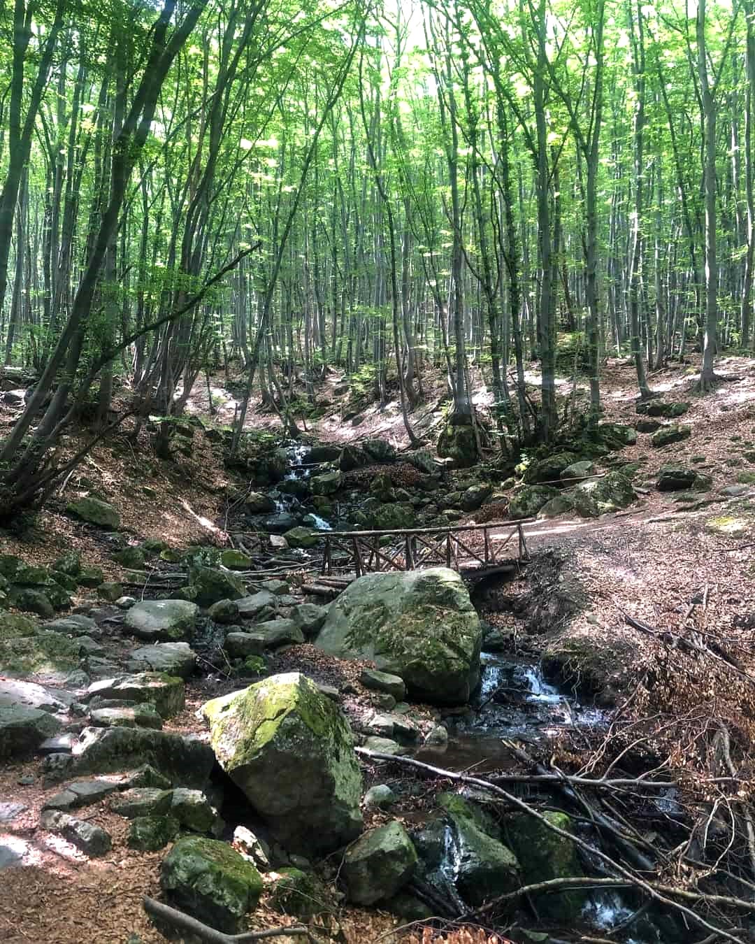 Boyana, Sofia Boyana, Sofia