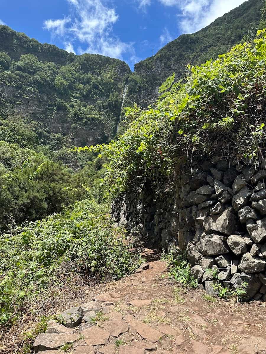El Cedro, La Gomera El Cedro, La Gomera