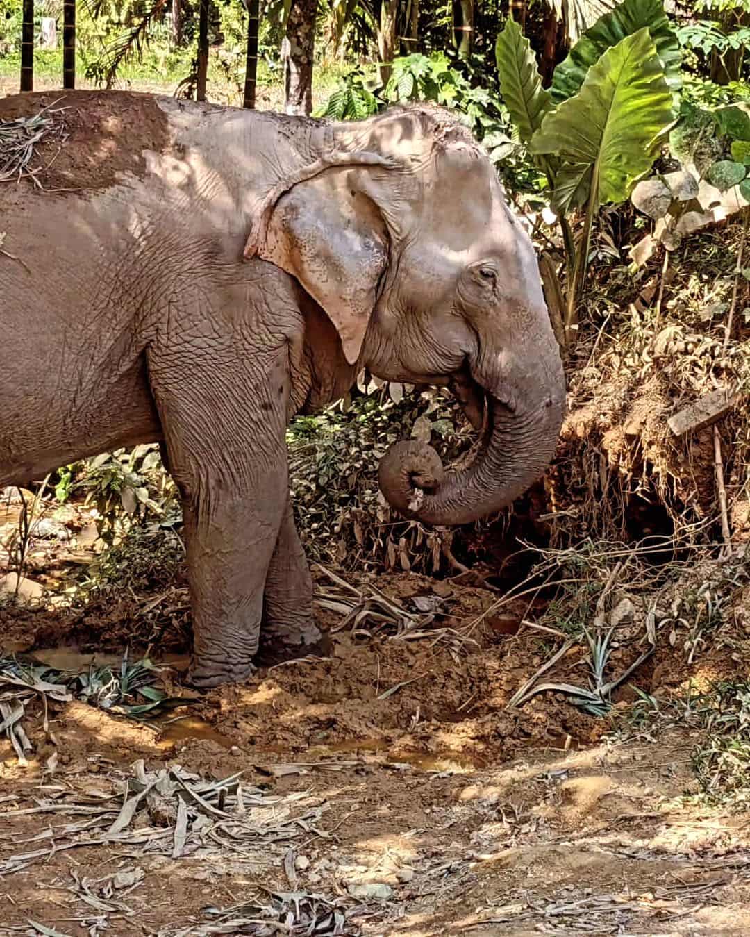 Kantiang Bay, Koh Lanta Kantiang Bay, Koh Lanta