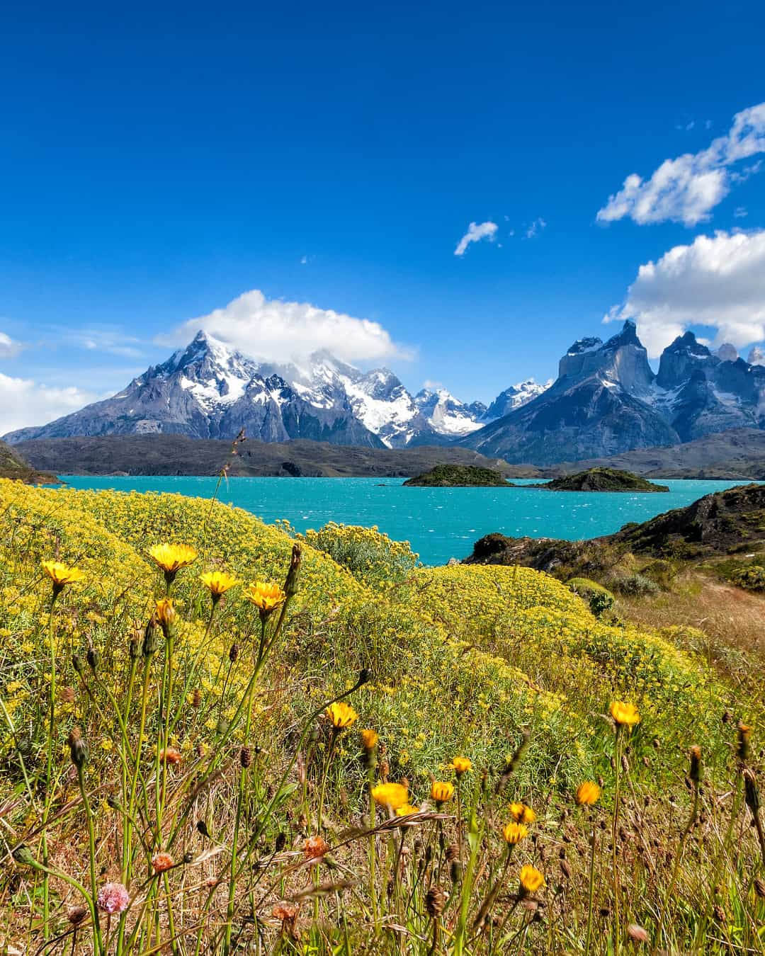 Las Torres Base Area, Torres del Paine Las Torres Base Area, Torres del Paine