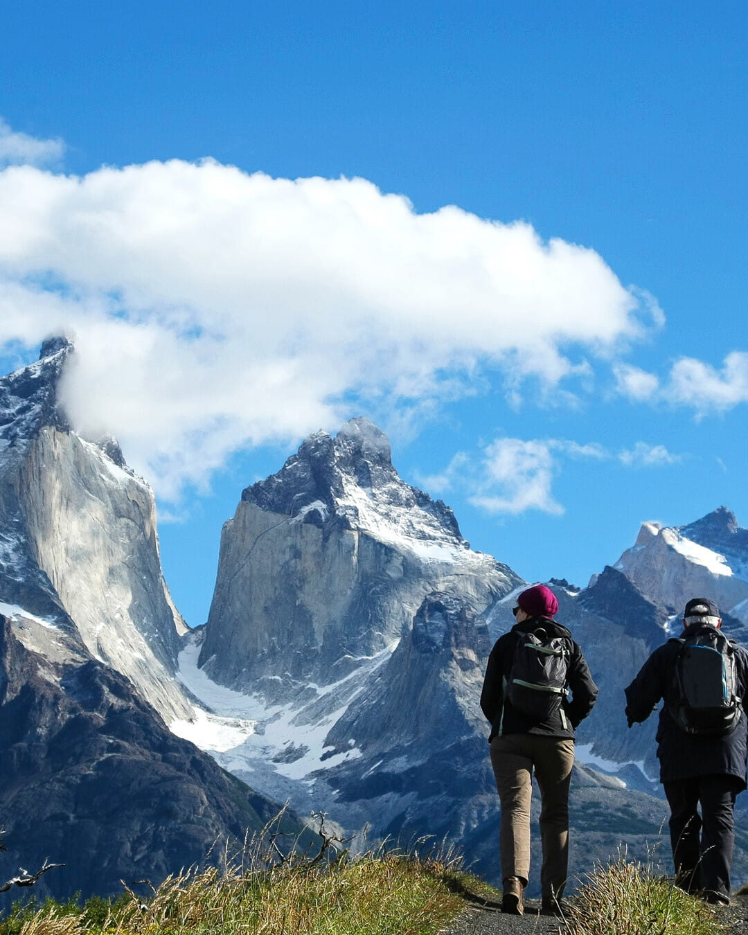 Las Torres Base Area, Torres del Paine Las Torres Base Area, Torres del Paine