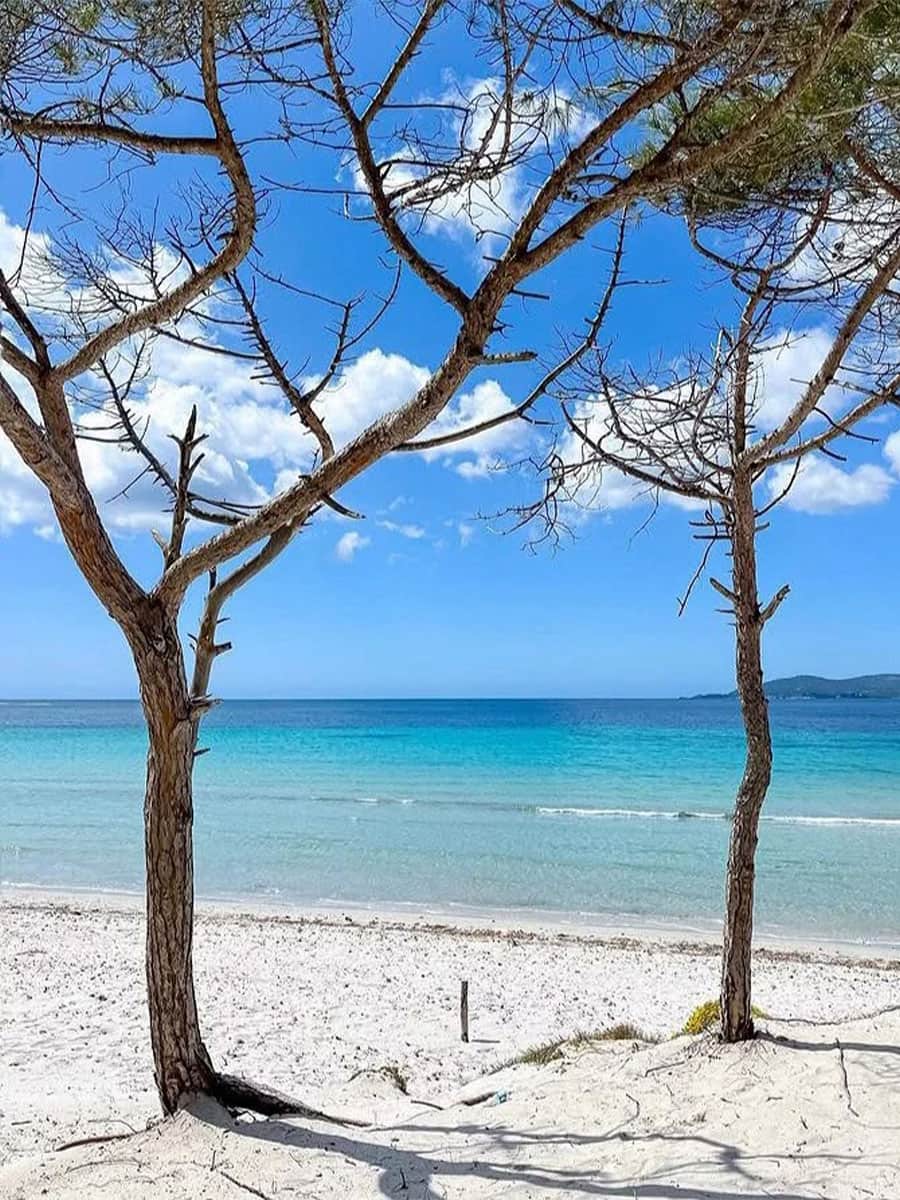 Maria Pia, Alghero Maria Pia, Alghero