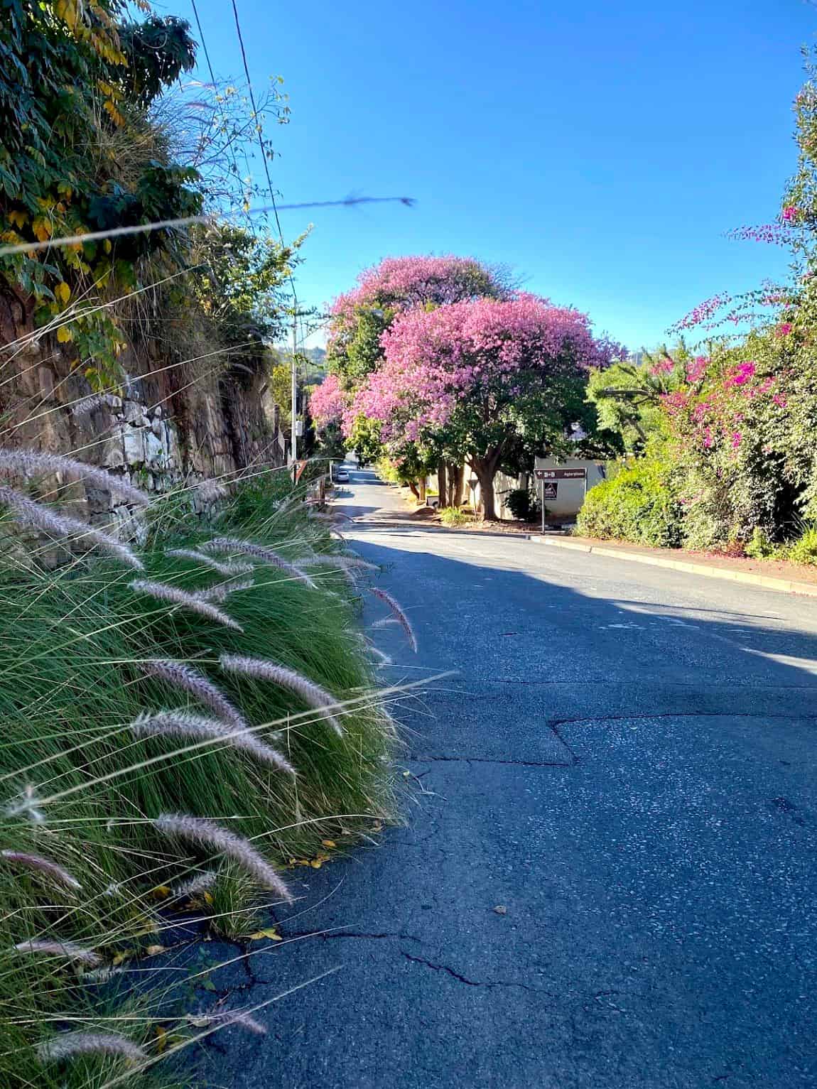 Melville, Johannesburg Melville, Johannesburg