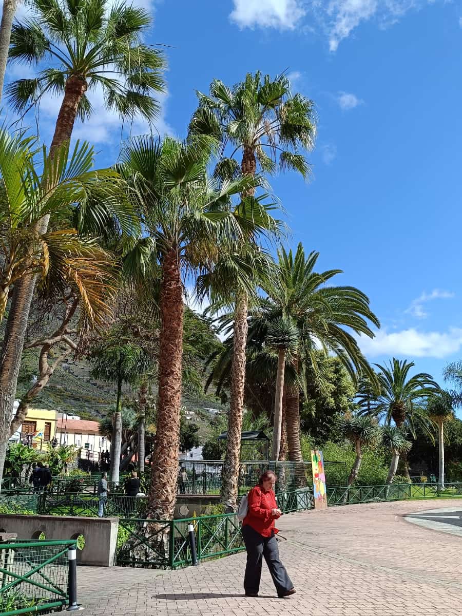 Parque de El Curato, La Gomera Parque de El Curato, La Gomera