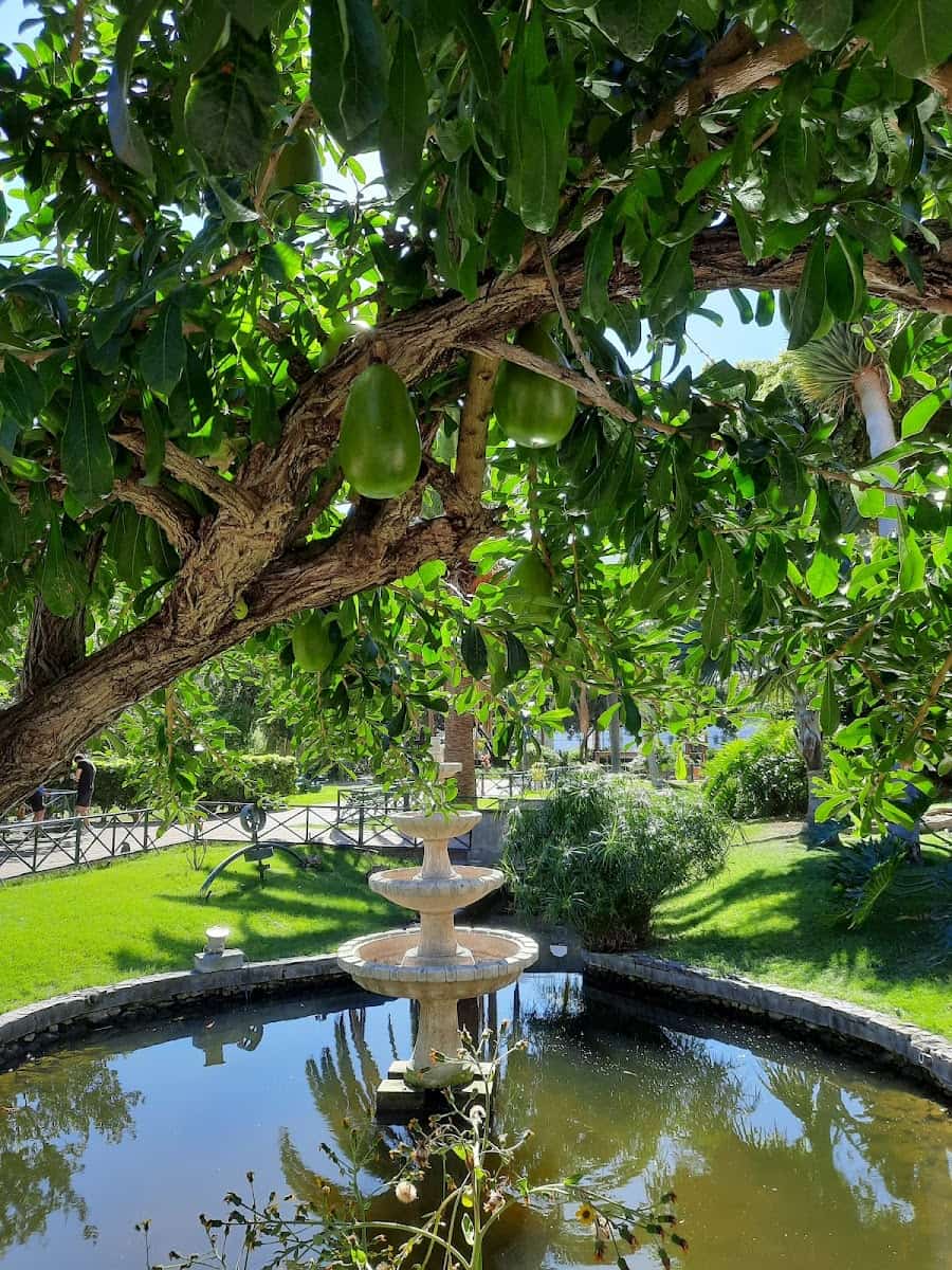 Parque de El Curato, La Gomera Parque de El Curato, La Gomera