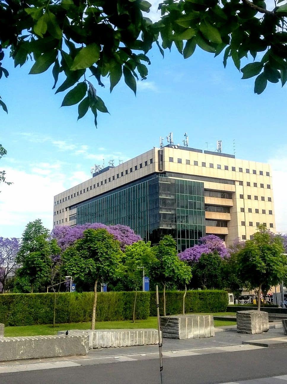 Rosebank, Johannesburg Rosebank, Johannesburg