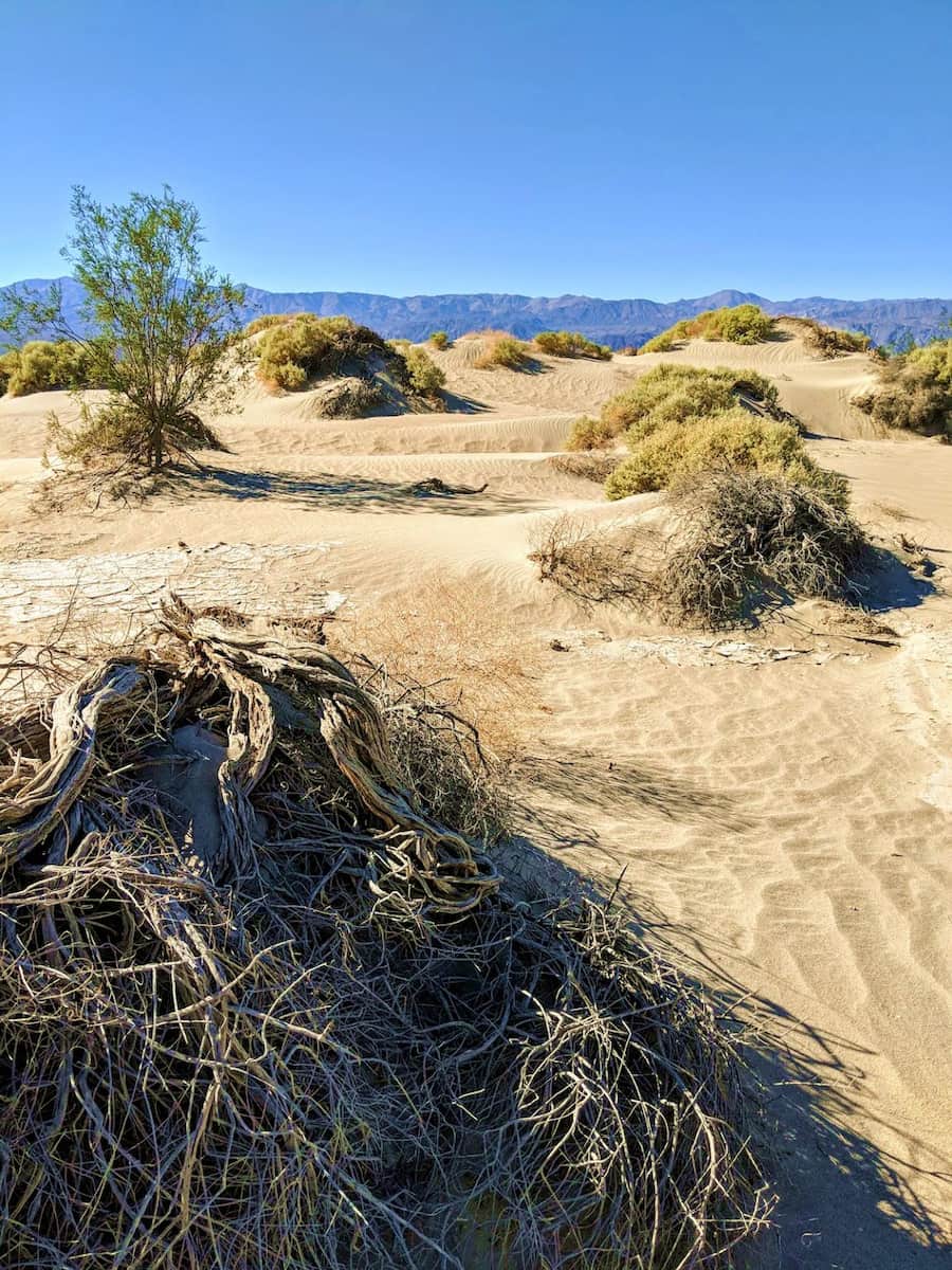 Stovepipe Wells, Death Valley National Park Stovepipe Wells, Death Valley National Park