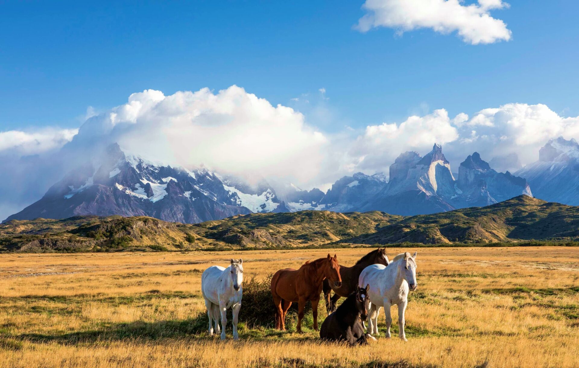 Torres del Paine, Patagonia