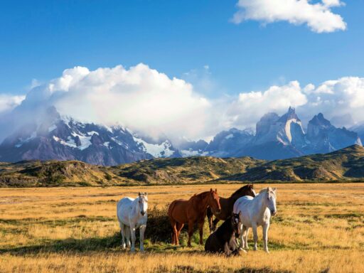 Torres del Paine, Patagonia