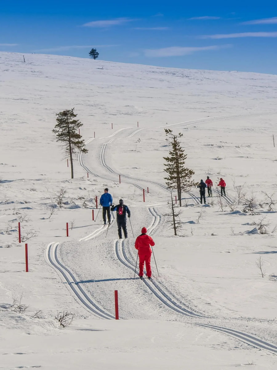 Urho Kekkonen National Park, Lapland, Finland Urho Kekkonen National Park, Lapland, Finland