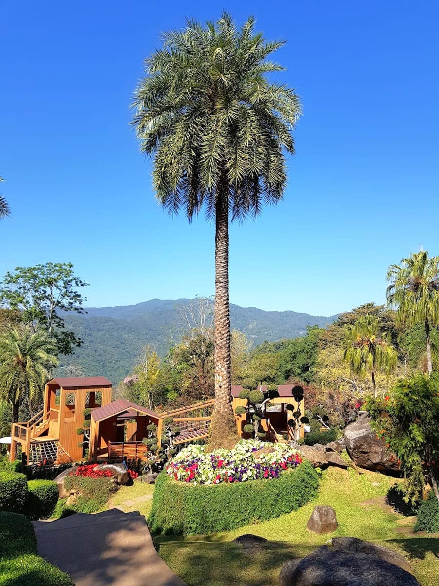 Doi Tung, Chiang Rai Doi Tung, Chiang Rai