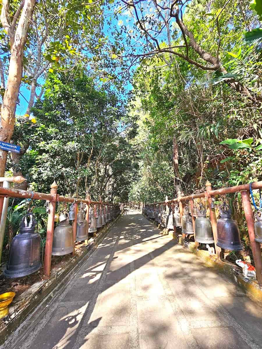 Doi Tung, Chiang Rai Doi Tung, Chiang Rai