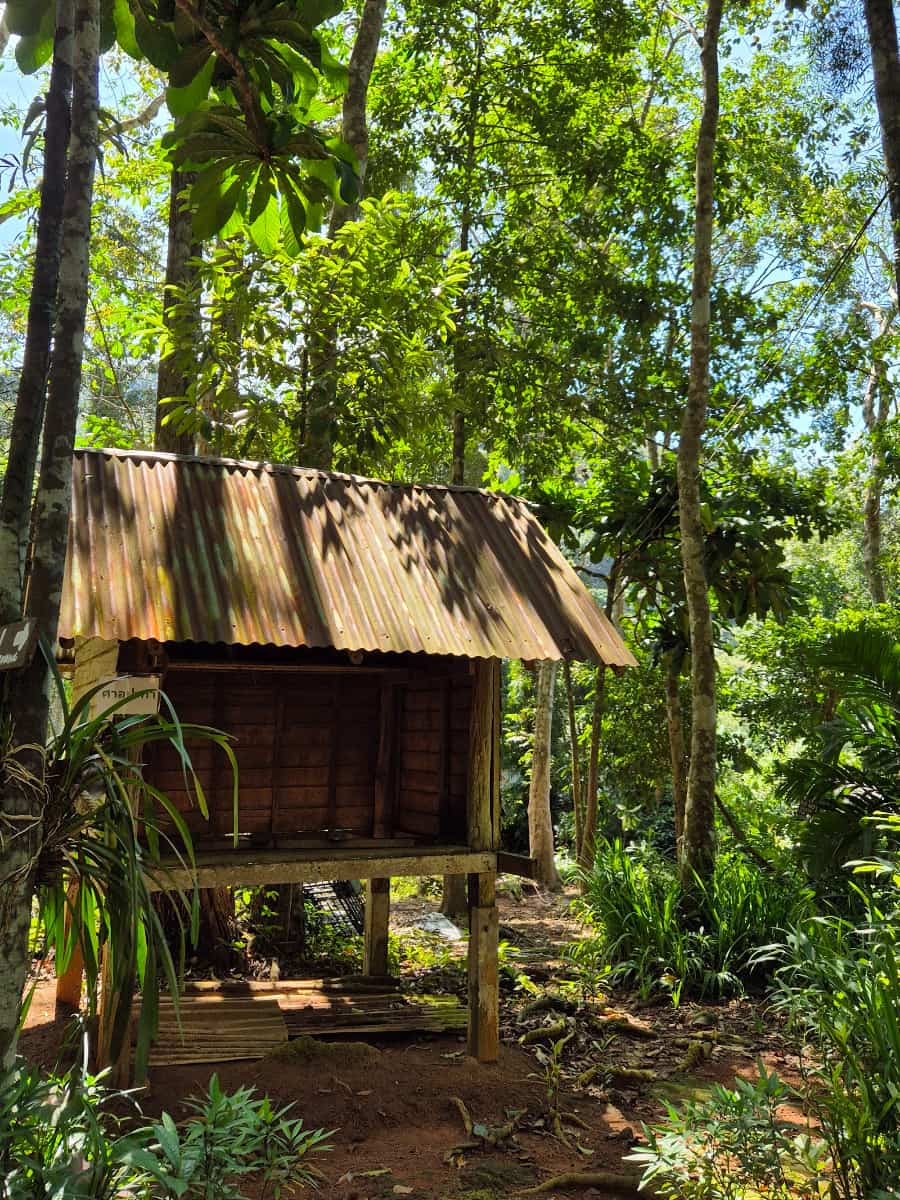Klong Son Elephant Camp, Koh Chang Klong Son Elephant Camp, Koh Chang