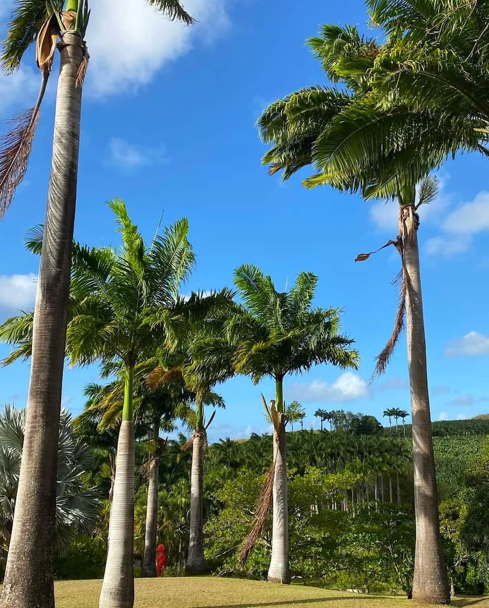 Les Trois-Ilets, Martinique Les Trois-Ilets, Martinique