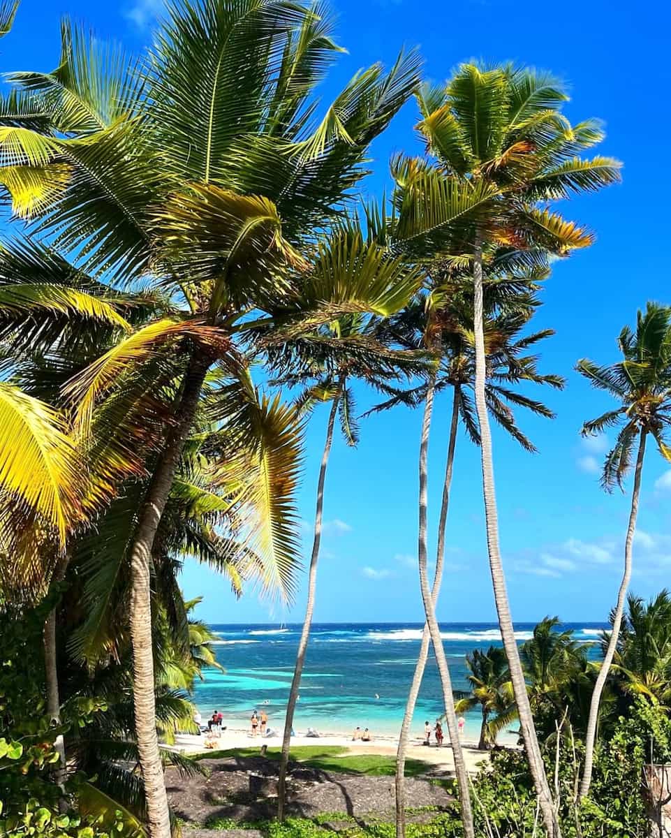 Martinique Martinique