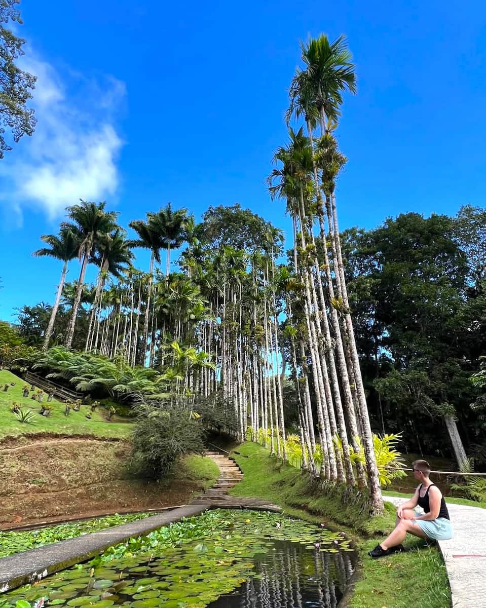 Pointe du Bout, Martinique Pointe du Bout, Martinique