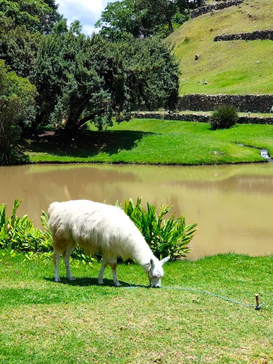 Ruinas de Pumapungo, Cuenca, Ecuador Ruinas de Pumapungo, Cuenca, Ecuador