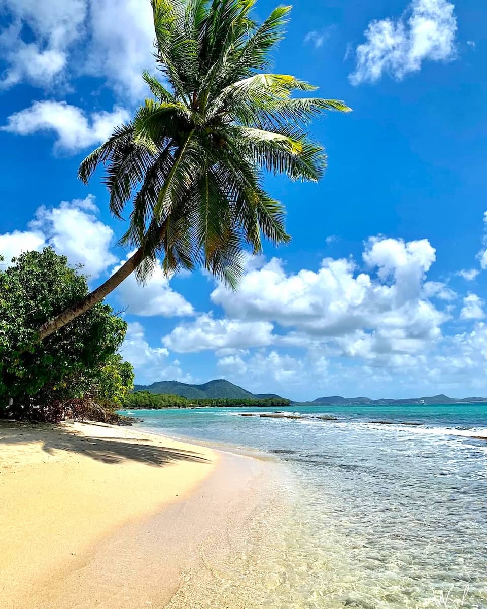 Sainte-Luce, Martinique Sainte-Luce, Martinique