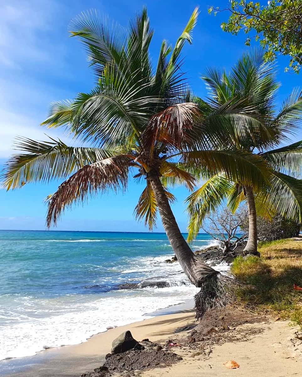 Sainte-Luce, Martinique Sainte-Luce, Martinique