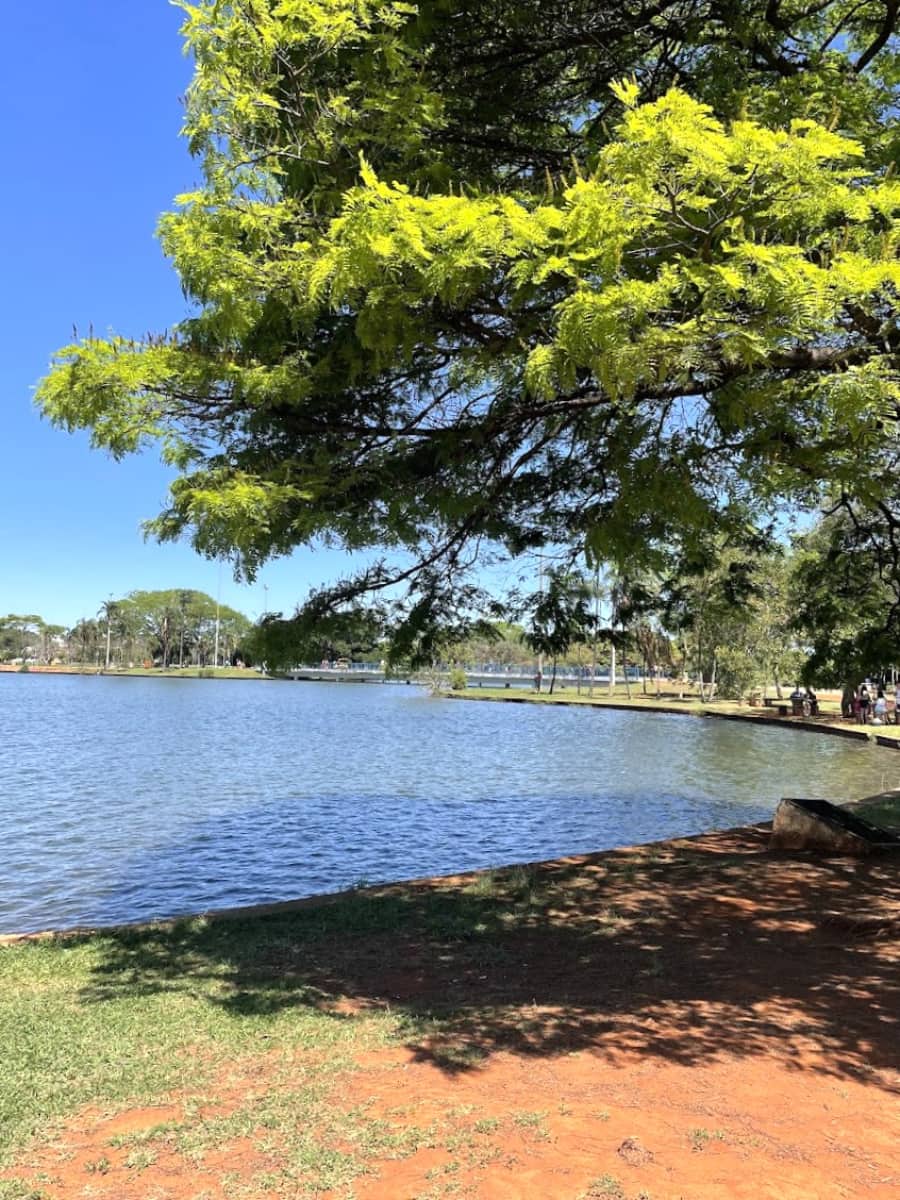 Sarah Kubitschek City Park, Brasilia Sarah Kubitschek City Park, Brasilia