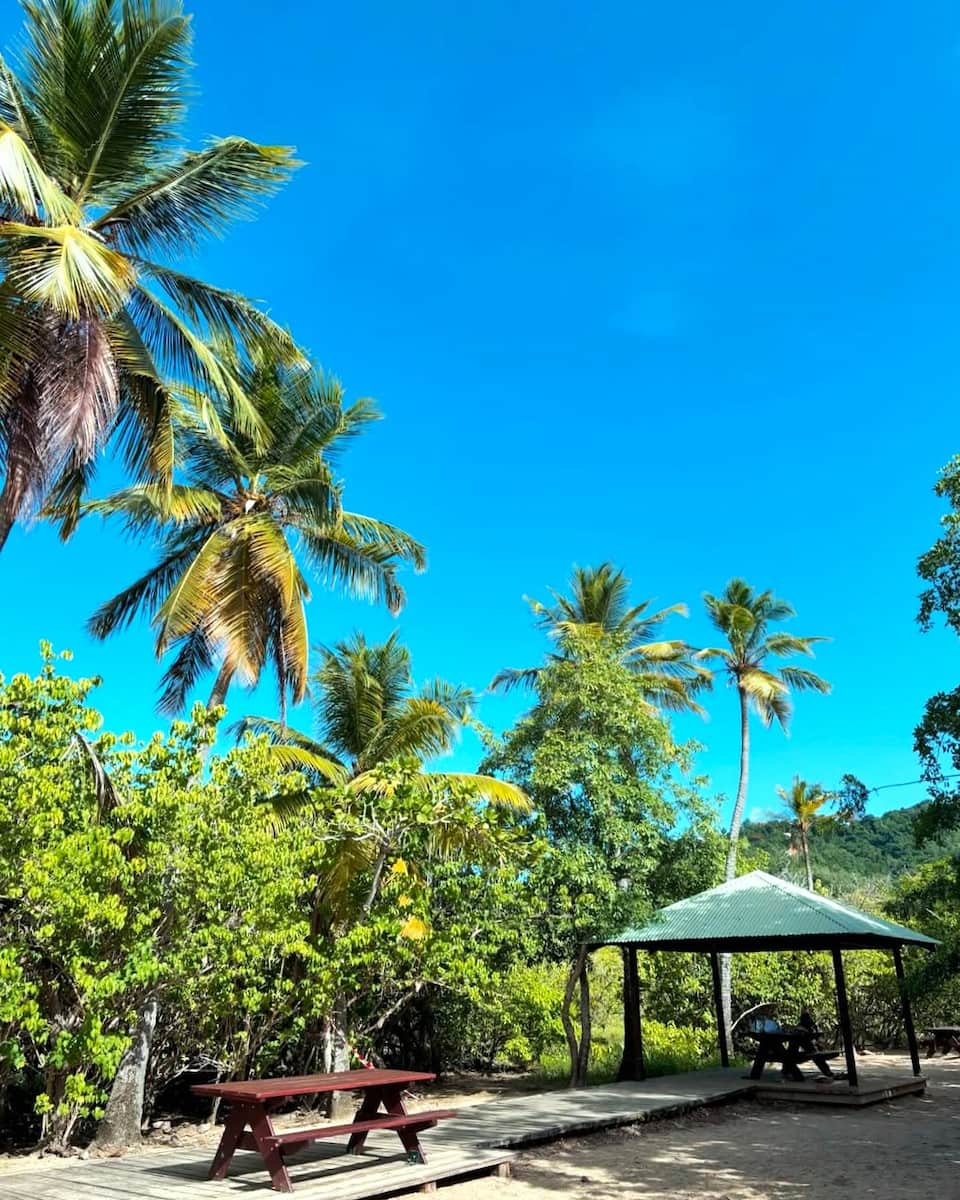 Tartane, Martinique Tartane, Martinique