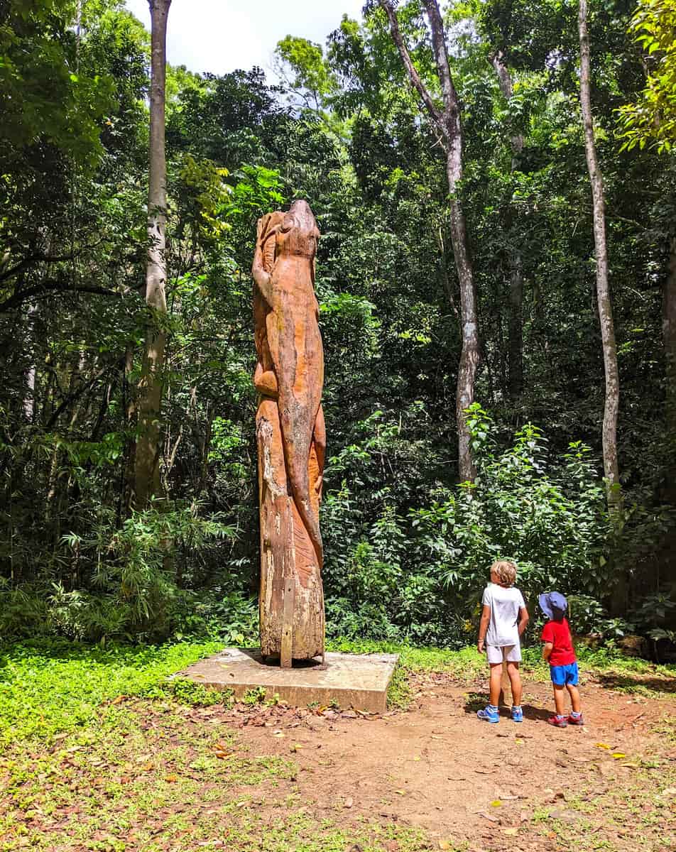 The Montravail Forest, Martinique The Montravail Forest, Martinique