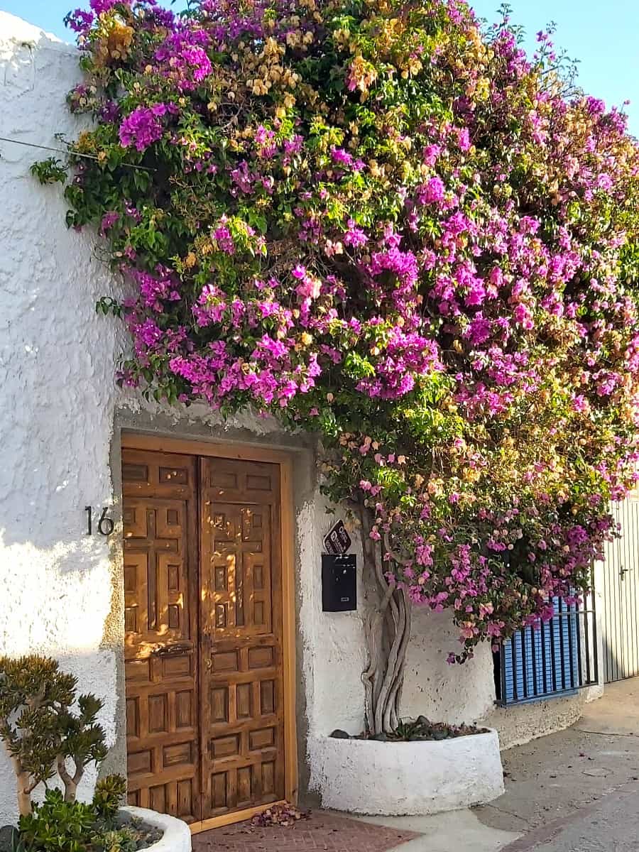 Agua Amarga, Cabo de Gata Agua Amarga, Cabo de Gata