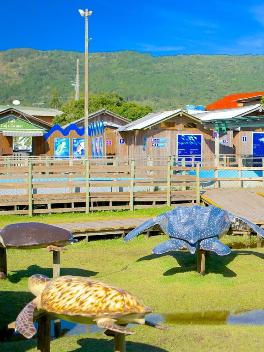 Barra da Lagoa, Florianopolis Barra da Lagoa, Florianopolis