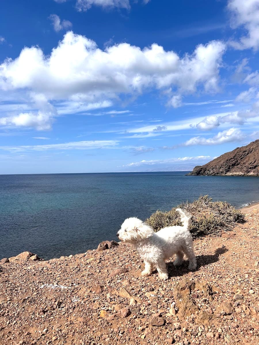 Faro de Cabo de Gata Faro de Cabo de Gata