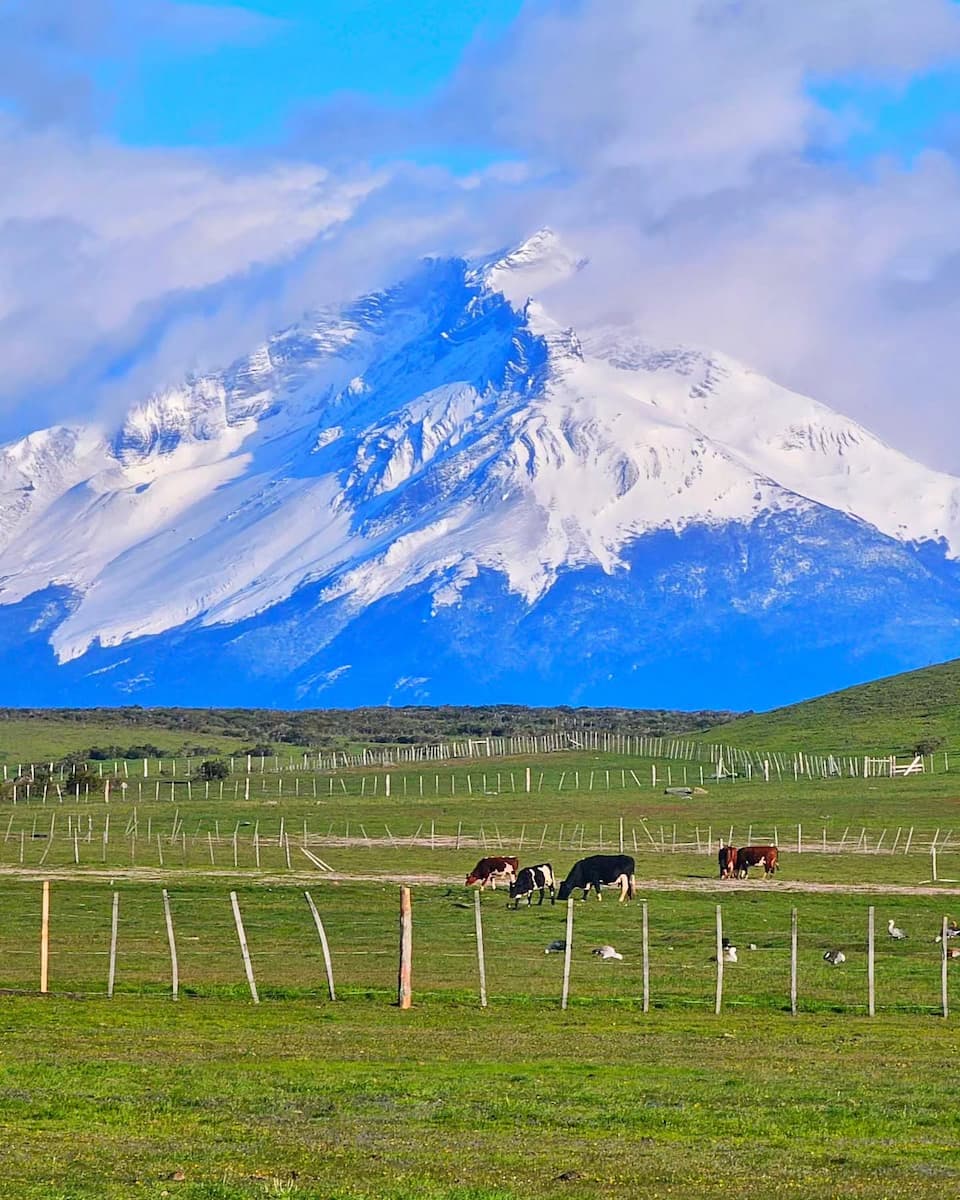 Puerto Bories, Puerto Natales Puerto Bories, Puerto Natales